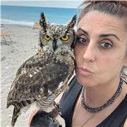 minicorso di avvicinamento ai rapaci e alla falconeria